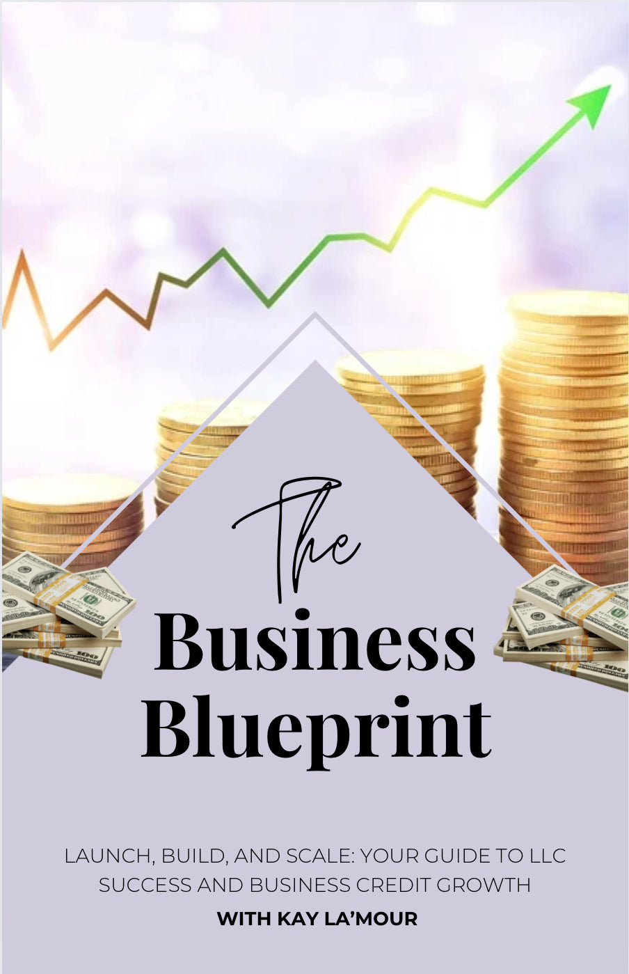 The Business Blueprint: From LLC Setup to Business Credit